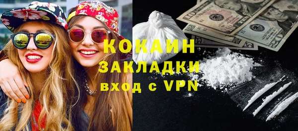 гашик Тайга