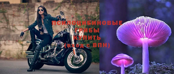 дурь Тавда