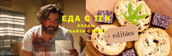 гашик Тайга
