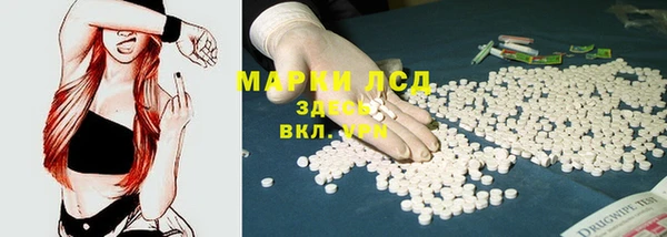 индика Кулебаки