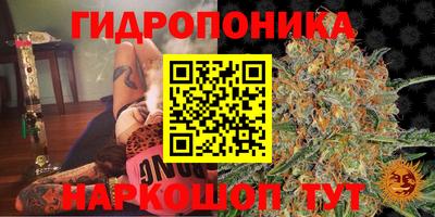 ГАЛЛЮЦИНОГЕННЫЕ ГРИБЫ Гусев