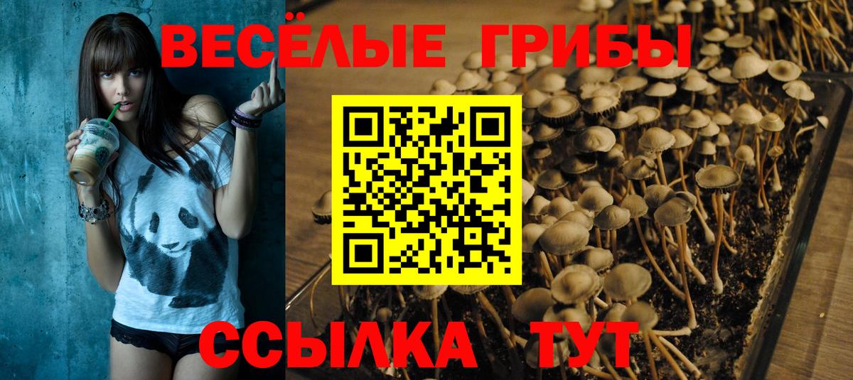 Галлюциногенные грибы Psilocybe  Вход с VPN  Можайск  Галлюциногенные грибы Magic Shrooms 